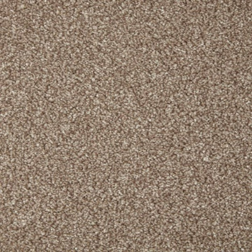 Cormar Carpets Primo Grande Range | Taylors on the High Street